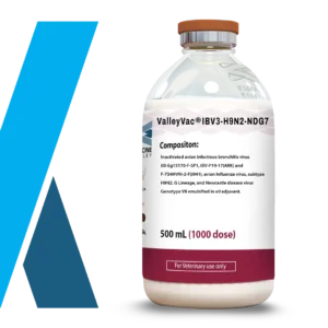 VALLEYVAC® IBV3-H9N2-NDG7